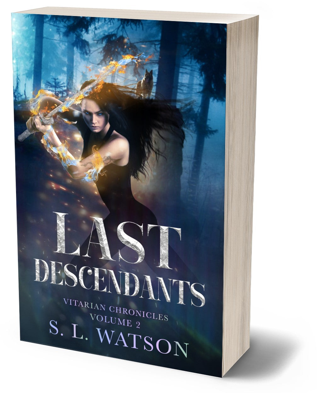 Last Descendants: Vitarian Chronicles Volumen 2 is a young adult portal fantasy romance. Hidden Powers, Chosen One and Parralel Worlds.